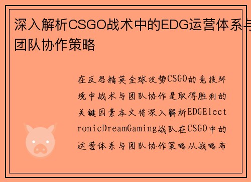 深入解析CSGO战术中的EDG运营体系与团队协作策略